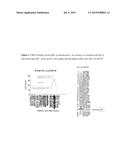 MAIZE CYTOPLASMIC MALE STERILITY (CMS) S-TYPE RESTORER Rf3 GENE, MOLECULAR     MARKERS AND THEIR USE diagram and image