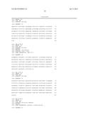 MAIZE CYTOPLASMIC MALE STERILITY (CMS) S-TYPE RESTORER Rf3 GENE, MOLECULAR     MARKERS AND THEIR USE diagram and image