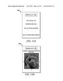 APPARATUS AND METHOD FOR FETAL INTELLIGENT NAVIGATION ECHOCARDIOGRAPHY diagram and image