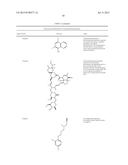 NEURONAL REGENERATION diagram and image