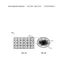 FICUS EXTRACTS HAVING ANGIOGENESIS INHIBITING ACTIVITY AND METHODS OF     ISOLATING AND USING THE SAME diagram and image