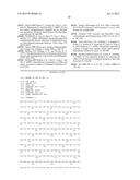 OSTEOPONTIN PEPTIDE FRAGMENTS FOR USE IN SUPPRESSION OR PREVENTION OF     TUMOR GROWTH diagram and image