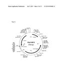 VACCINATION BY MEANS OF RECOMBINANT YEAST BY PRODUCING A PROTECTIVE     HUMORAL IMMUNE RESPONSE AGAINST DEFINED ANTIGENS diagram and image