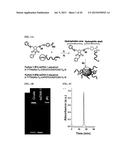 METHODS FOR ARRANGING AND PACKING NUCLEIC ACIDS FOR UNUSUAL RESISTANCE TO     NUCLEASES AND TARGETED DELIVERY FOR GENE THERAPY diagram and image