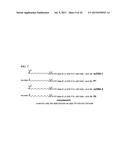 METHODS FOR ARRANGING AND PACKING NUCLEIC ACIDS FOR UNUSUAL RESISTANCE TO     NUCLEASES AND TARGETED DELIVERY FOR GENE THERAPY diagram and image