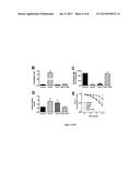 SMOOTH MUSCLE SPECIFIC INHIBITION FOR ANTI-RESTENOTIC THERAPY diagram and image