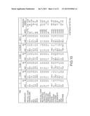 SYSTEMS AND METHODS FOR LIMB TREATMENT diagram and image