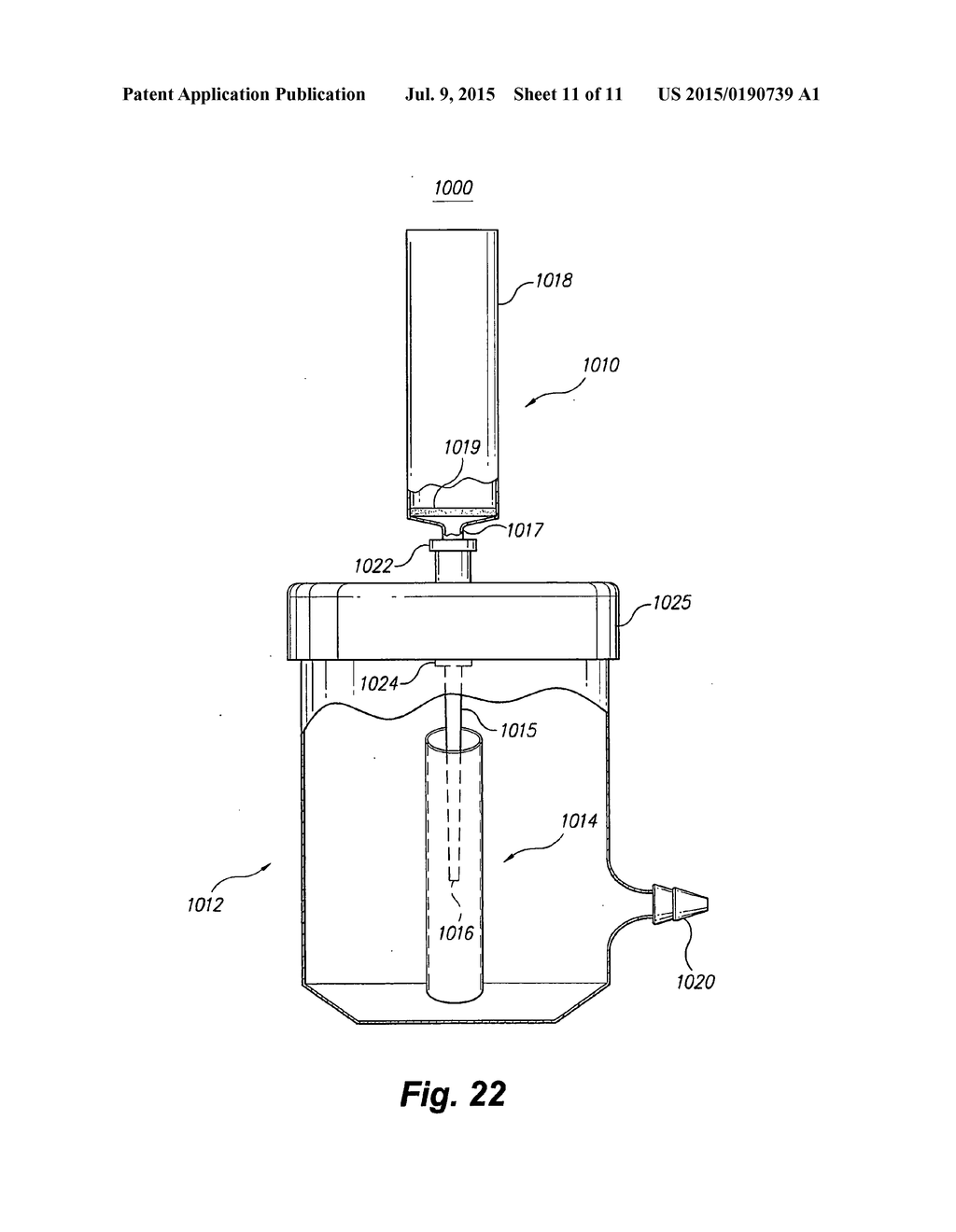 DISPOSABLE POLYMER-STRUCTURED FILTER - diagram, schematic, and image 12