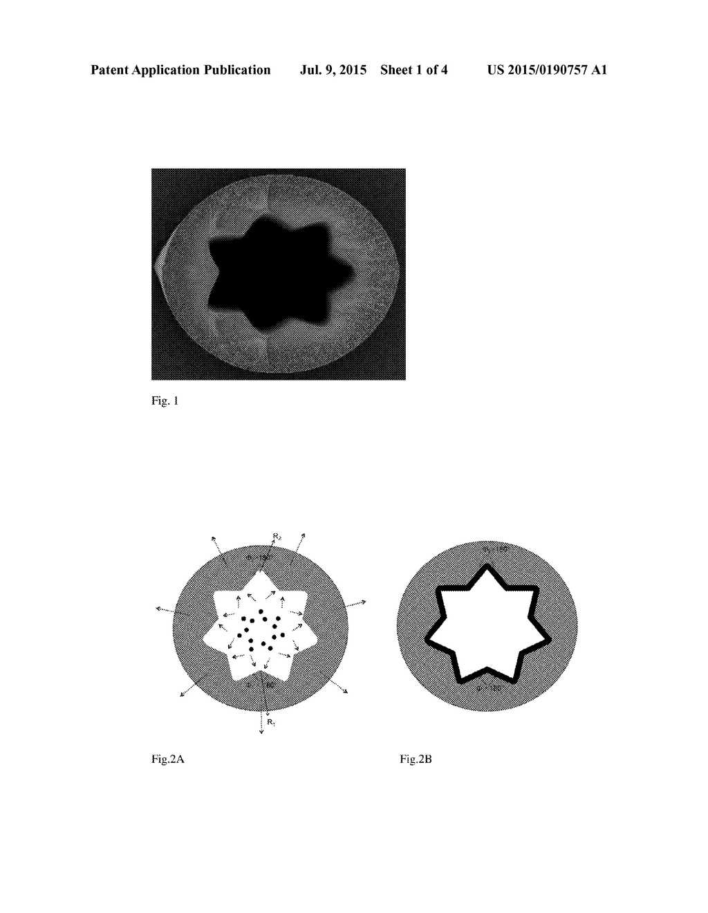 Capillary Filtration Membrane With An Improved Recovery And Method For     Obtaining An Improved Recovery And Manufacturing Method - diagram, schematic, and image 02