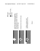 METALLIC NANO-TIP APPARATUS, METHODS, AND APPLICATIONS diagram and image