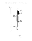 Coupling Store Device for a Motor Vehicle diagram and image