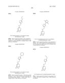 INHIBITORS TARGETING DRUG-RESISTANT INFLUENZA A diagram and image