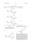 HETEROARYL SUBSTITUTED NICOTINAMIDE COMPOUNDS diagram and image