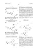 HETEROARYL SUBSTITUTED NICOTINAMIDE COMPOUNDS diagram and image