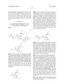 HETEROARYL SUBSTITUTED NICOTINAMIDE COMPOUNDS diagram and image