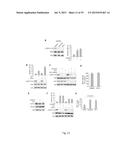 AGONISTS OF SRC HOMOLOGY-2 CONTAINING PROTEIN TYROSINE PHOSPHATASE-1 AND     TREATMENT METHODS USING THE SAME diagram and image