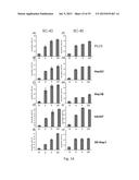 AGONISTS OF SRC HOMOLOGY-2 CONTAINING PROTEIN TYROSINE PHOSPHATASE-1 AND     TREATMENT METHODS USING THE SAME diagram and image