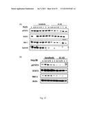 AGONISTS OF SRC HOMOLOGY-2 CONTAINING PROTEIN TYROSINE PHOSPHATASE-1 AND     TREATMENT METHODS USING THE SAME diagram and image