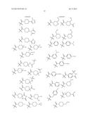 PYRROLIDINYL SULFONE RORGAMMA MODULATORS diagram and image