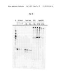 Compositions and Methods for the Treatment or Prevention of Hepatitis B     Virus Infection diagram and image