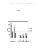 Compositions and Methods for the Treatment or Prevention of Hepatitis B     Virus Infection diagram and image