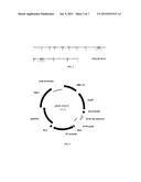 Compositions and Methods for Modulating Biomass Productivity diagram and image