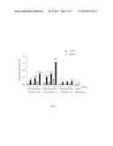 NOVEL MALARIA TRANSMISSION-BLOCKING VACCINES diagram and image