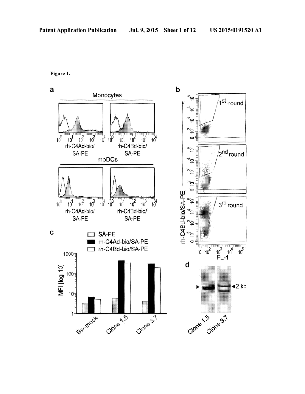 Complement split product C4d for the treatment of inflammatory conditions - diagram, schematic, and image 02