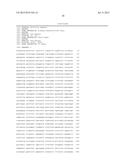 CELL LINE EXPRESSING SINGLE CHAIN FACTOR VIII POLYPEPTIDES AND USES     THEREOF diagram and image