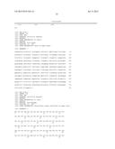 CELL LINE EXPRESSING SINGLE CHAIN FACTOR VIII POLYPEPTIDES AND USES     THEREOF diagram and image