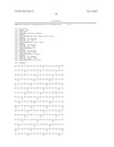 CELL LINE EXPRESSING SINGLE CHAIN FACTOR VIII POLYPEPTIDES AND USES     THEREOF diagram and image