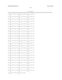 CELL LINE EXPRESSING SINGLE CHAIN FACTOR VIII POLYPEPTIDES AND USES     THEREOF diagram and image