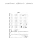 Fc VARIANTS WITH ALTERED BINDING TO FcRn diagram and image