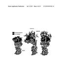 MICA BINDING AGENTS diagram and image