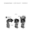 MICA BINDING AGENTS diagram and image