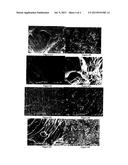 WEATHERABILITY AND DURABILITY OF LOW-DENSITY POLYETHYLENE NANOCOMPOSITES     WITH CLAY, SILICA AND ZINC OXIDE diagram and image