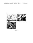 FOOD GRADE BACTERIA FOR THE REMOVAL OF TOXIC COMPOUNDS diagram and image