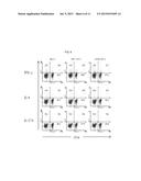 COMPOSITION INCLUDING GELSOLIN AS EFFECTIVE INGREDIENT FOR INDUCING     DIFFERENTIATION INTO DENDRITIC CELL AND METHOD OF INDUCING     DIFFERENTIATION INTO DENDRITIC CELL diagram and image