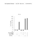 COMPOSITION INCLUDING GELSOLIN AS EFFECTIVE INGREDIENT FOR INDUCING     DIFFERENTIATION INTO DENDRITIC CELL AND METHOD OF INDUCING     DIFFERENTIATION INTO DENDRITIC CELL diagram and image