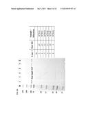 DNA POLYMERASE MUTANTS HAVING ENHANCED TEMPLATE DISCRIMINATION ACTIVITY diagram and image