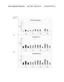 DNA POLYMERASE MUTANTS HAVING ENHANCED TEMPLATE DISCRIMINATION ACTIVITY diagram and image