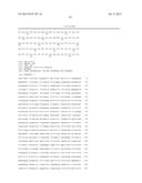 DNA POLYMERASE MUTANTS HAVING ENHANCED TEMPLATE DISCRIMINATION ACTIVITY diagram and image