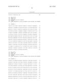 DNA POLYMERASE MUTANTS HAVING ENHANCED TEMPLATE DISCRIMINATION ACTIVITY diagram and image