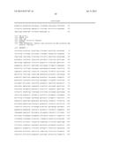 DNA POLYMERASE MUTANTS HAVING ENHANCED TEMPLATE DISCRIMINATION ACTIVITY diagram and image