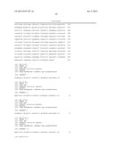 DNA POLYMERASE MUTANTS HAVING ENHANCED TEMPLATE DISCRIMINATION ACTIVITY diagram and image