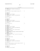 DNA POLYMERASE MUTANTS HAVING ENHANCED TEMPLATE DISCRIMINATION ACTIVITY diagram and image