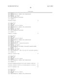 DNA POLYMERASE MUTANTS HAVING ENHANCED TEMPLATE DISCRIMINATION ACTIVITY diagram and image