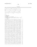 DNA POLYMERASE MUTANTS HAVING ENHANCED TEMPLATE DISCRIMINATION ACTIVITY diagram and image