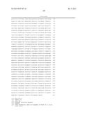 DNA POLYMERASE MUTANTS HAVING ENHANCED TEMPLATE DISCRIMINATION ACTIVITY diagram and image