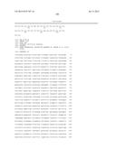 DNA POLYMERASE MUTANTS HAVING ENHANCED TEMPLATE DISCRIMINATION ACTIVITY diagram and image